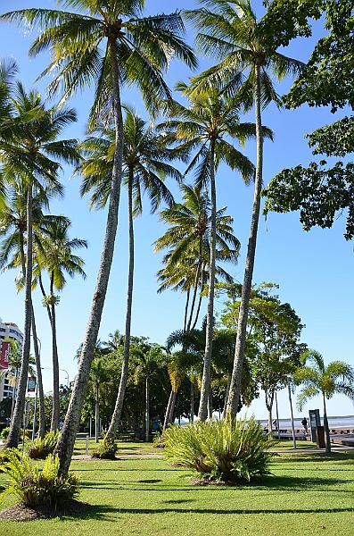 051_Australia_Cairns.JPG