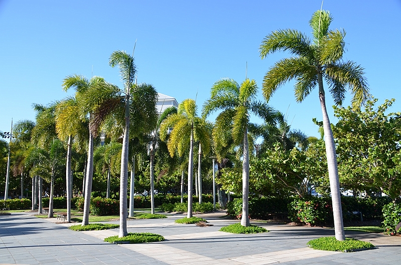 062_Australia_Cairns.JPG