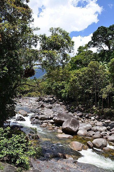 110_Australia_Queensland_Mossman_Gorge.JPG