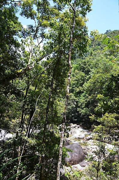 112_Australia_Queensland_Mossman_Gorge.JPG