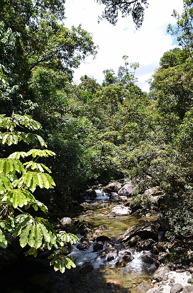 113_Australia_Queensland_Mossman_Gorge.JPG
