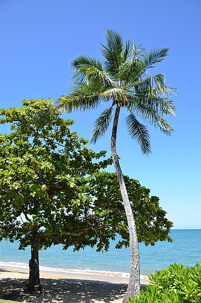 123_Australia_Queensland_Trinity_Beach.JPG