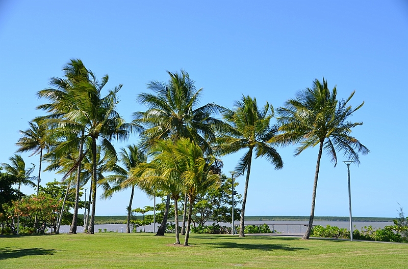 130_Australia_Cairns.JPG