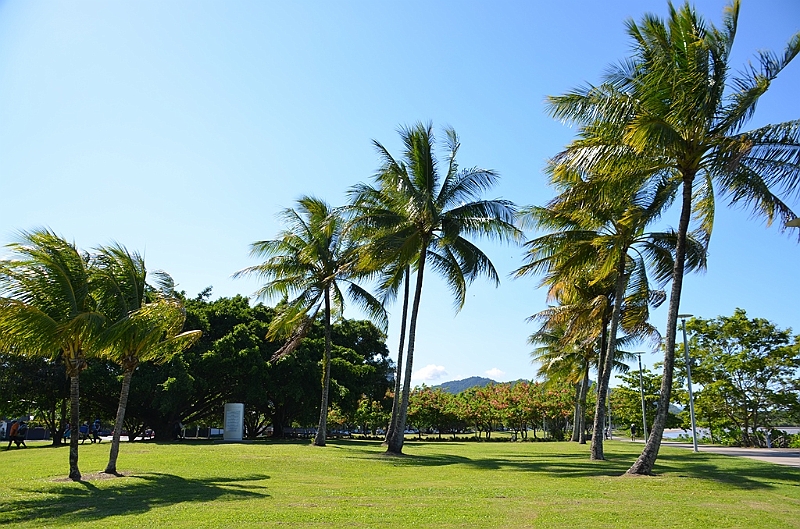 133_Australia_Cairns.JPG