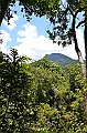 111_Australia_Queensland_Mossman_Gorge