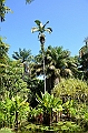 124_Australia_Cairns_Botanic_Gardens