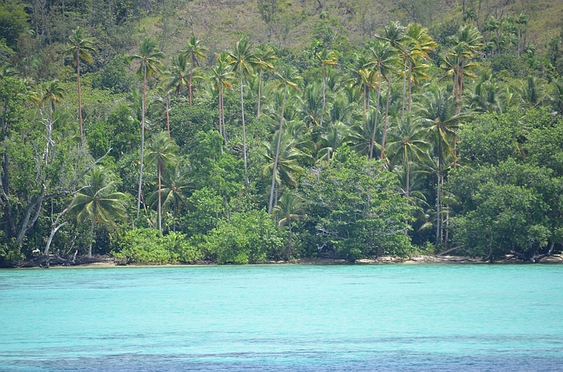 025_Solomon_Islands_Roderick_Bay.JPG