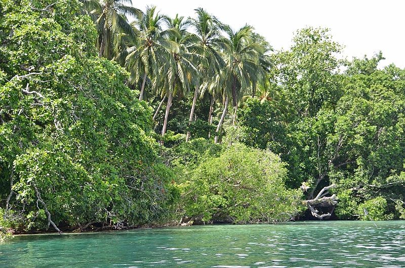 030_Solomon_Islands_Roderick_Bay.JPG