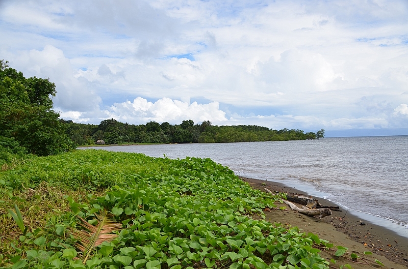 176_Solomon_Islands_Vanikoro.JPG