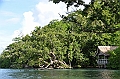 076_Solomon_Islands_Roderick_Bay