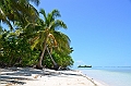 152_Solomon_Islands_Santa_Ana