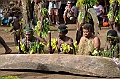 187_Solomon_Islands_Vanikoro