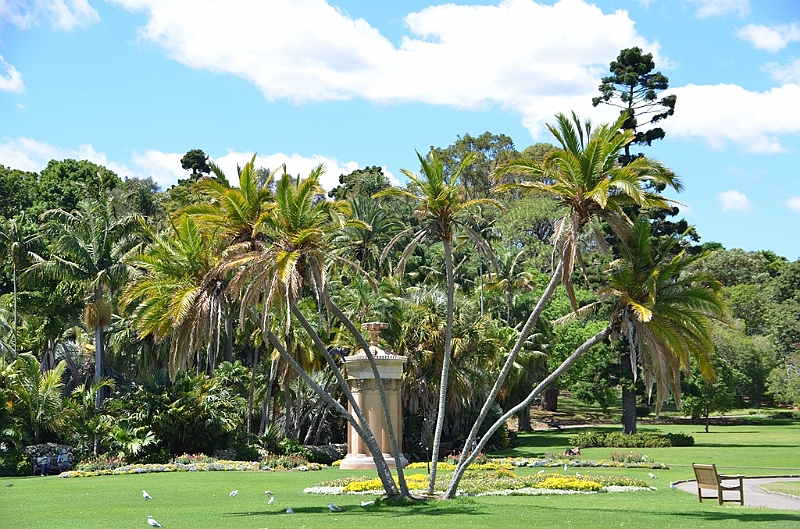 067_Australia_Sydney_Royal_Botanic_Gardens.JPG