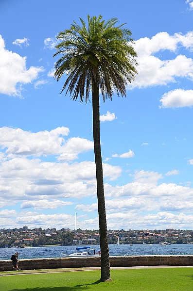079_Australia_Sydney_Royal_Botanic_Gardens.JPG