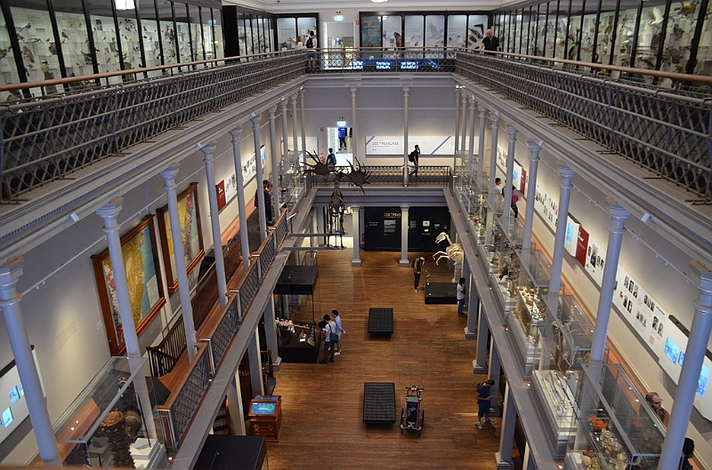 177_Australia_Sydney_Australian_Museum.JPG