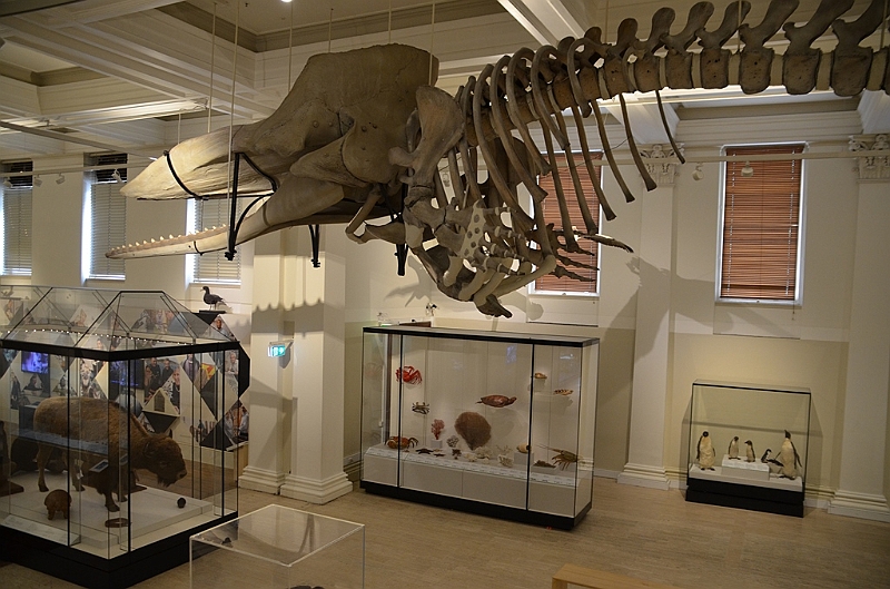 178_Australia_Sydney_Australian_Museum.JPG