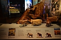 181_Australia_Sydney_Australian_Museum