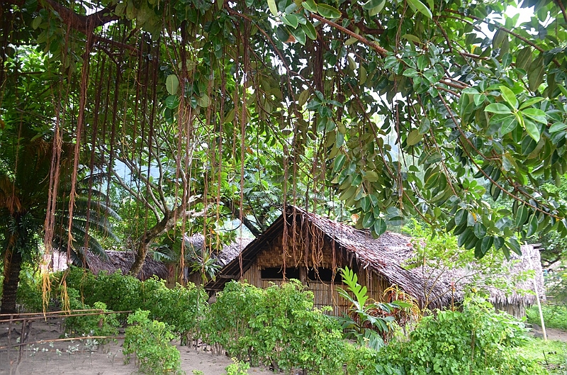 016_Vanuatu_Ureparapara.JPG