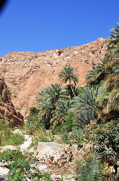 132_Oman_Wadi_Shab.JPG