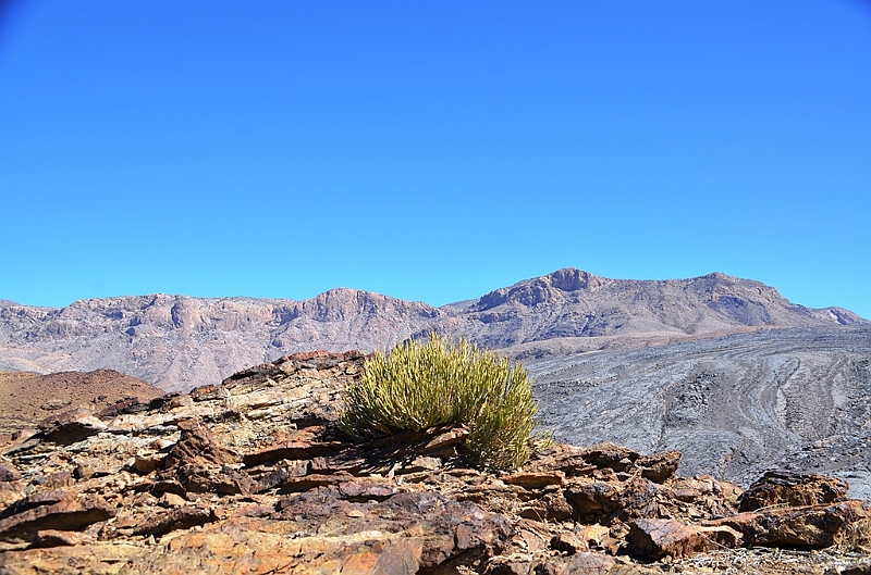 171_Oman_Saiq_Plateau.JPG