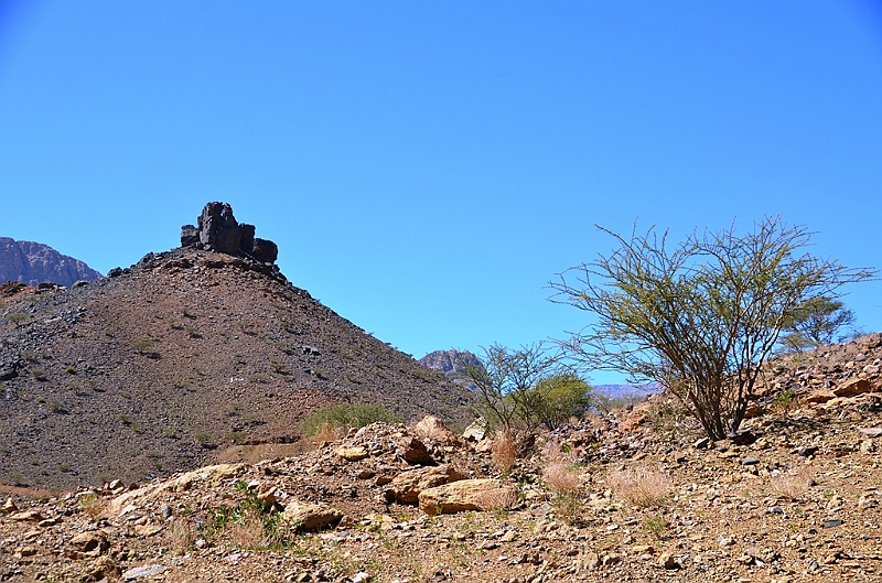 181_Oman_Saiq_Plateau.JPG