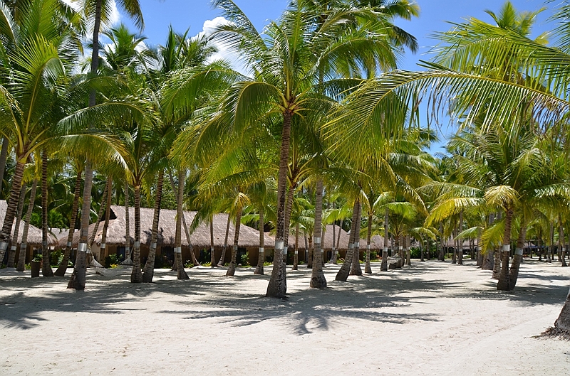 155_Philippines_Bohol_South_Palms_Resort_Panglao.JPG