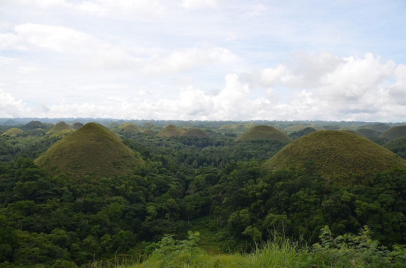 180_Philippines_Bohol_Chocolate_Hills.JPG