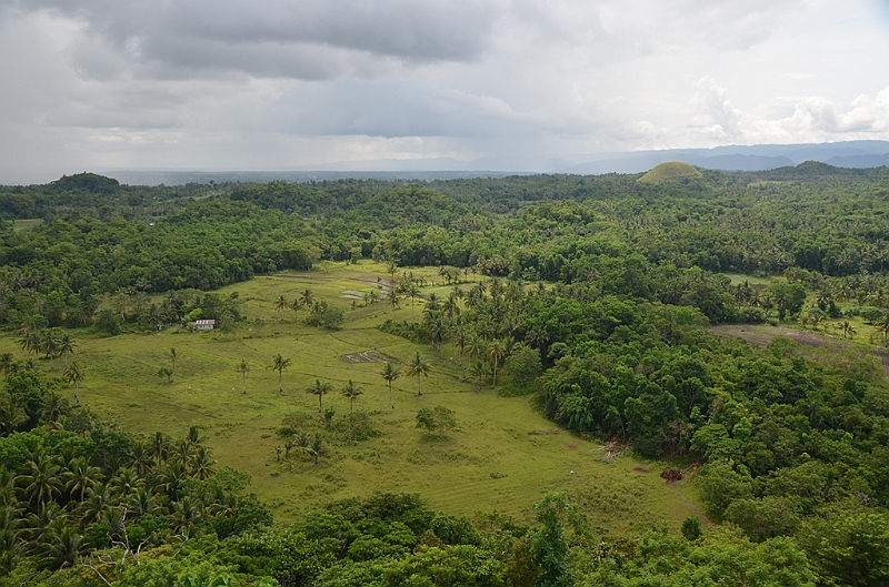 184_Philippines_Bohol_Chocolate_Hills.JPG