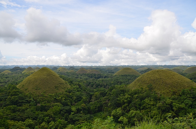 185_Philippines_Bohol_Chocolate_Hills.JPG