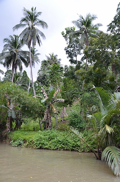 213_Philippines_Bohol_Loboc_River_Cruise.JPG