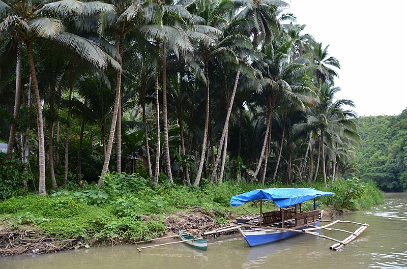 221_Philippines_Bohol_Loboc_River_Cruise.JPG