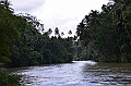 214_Philippines_Bohol_Loboc_River_Cruise