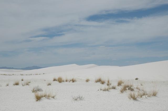 18_White_Sands.JPG