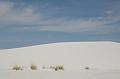 17_White_Sands