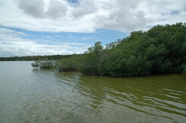 216_USA_Everglades_National_Park.JPG