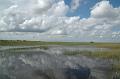 182_USA_Everglades_National_Park