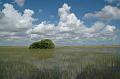 184_USA_Everglades_National_Park