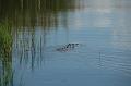 188_USA_Everglades_National_Park