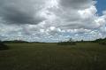 215_USA_Everglades_National_Park