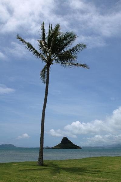 139_USA_Hawaii_Oahu_Kualoa.JPG