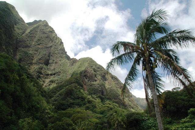 219_USA_Hawaii_Mau_Iao_Valley.JPG
