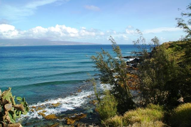 270_USA_Hawaii_Maui_North_Shore_Route_340.JPG