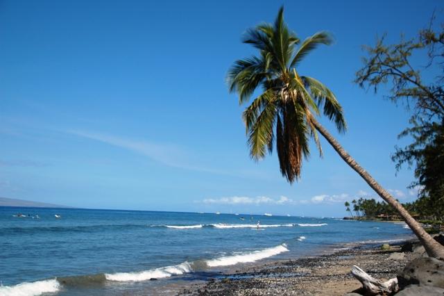 307_USA_Hawaii_Maui.JPG