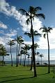 183_USA_Hawaii_Maui_Kapalua