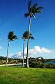 345_USA_Hawaii_Maui_Kapalua