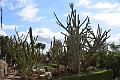 267_Portugal_Madeira_Funchal_Botanical_Garden