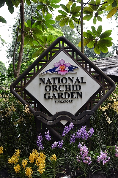 137_Singapore_Botanic_Gardens.JPG