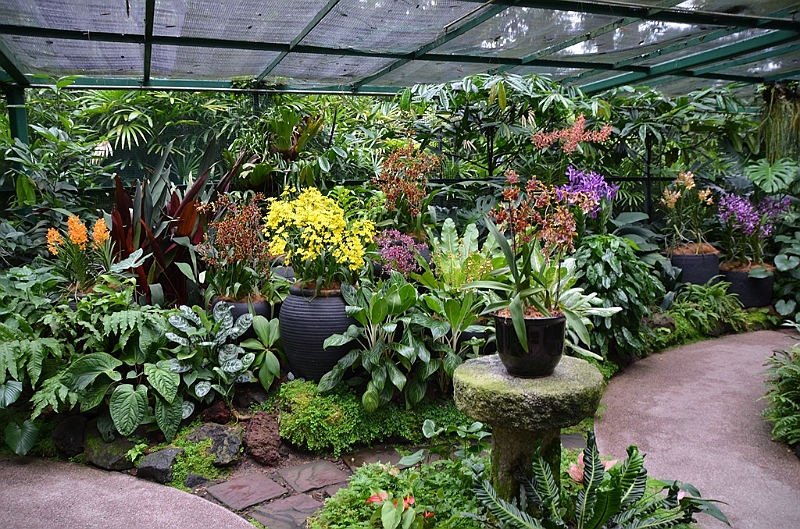 165_Singapore_Botanic_Gardens.JPG