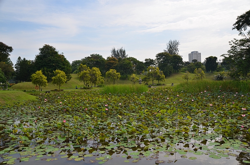 241_Singapore_Japanese_Garden.JPG
