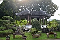 237_Singapore_Chinese_Garden